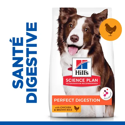 Hill's Science Plan Perfect Digestion, avec poulet et riz brun, santé digestive, texte visible : VETERINARIAN RECOMMENDED, ActivBiome+, image d’un chien sur l’emballage.