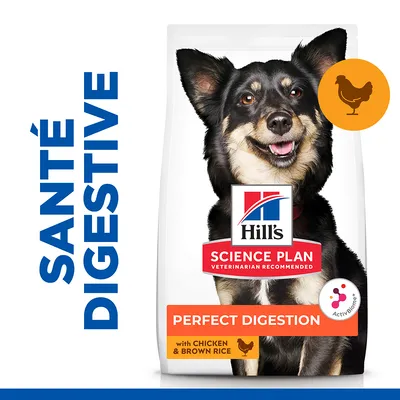 Hill's Science Plan Perfect Digestion, croquettes pour chien avec poulet et riz brun. Texte visible : SANTÉ DIGESTIVE, VETERINARIAN RECOMMENDED, ActivBiome+. Illustration de poulet. Hill's Science Plan Perfect Digestion, croquettes pour chien avec poulet et riz brun. Texte visible : SANTÉ DIGESTIVE, VETERINARIAN RECOMMENDED, ActivBiome+. Illustration de poulet.