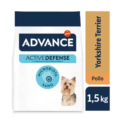 Advance Active Defense Yorkshire Terrier Pollo 1,5 kg, con ingredienti scientificamente provati, microbiota sano, immagine di un cane Yorkshire Terrier sulla confezione.