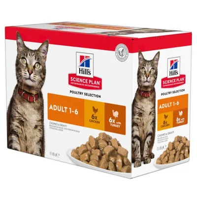Hill's Feline Maaltijdzakjes - 48 x 85 g Adult Gevogelte selectie