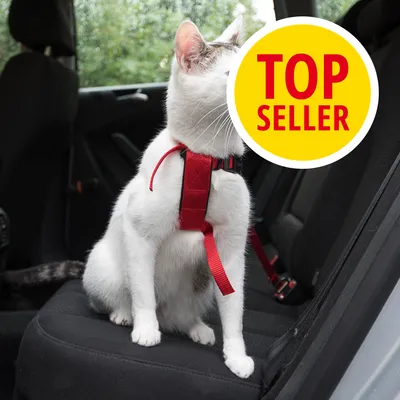 Kočka s červeným postrojem na zadním sedadle auta, žlutý kruh s červeným textem TOP SELLER částečně překrývá obraz.