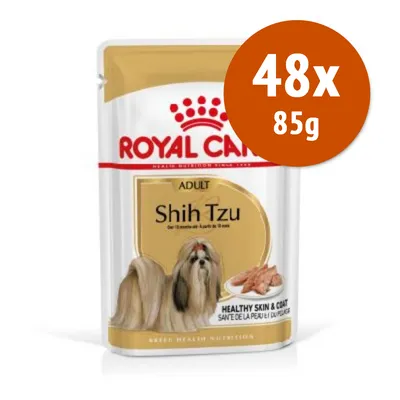 Confezione Royal Canin Adult Shih Tzu, 48 bustine da 85 g. Testo visibile: Healthy Skin & Coat. Immagine di un cane Shih Tzu e crocchette sul fronte della confezione.