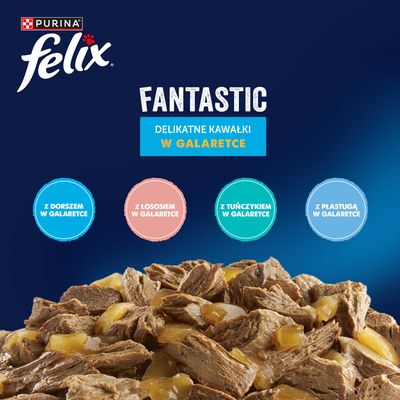 Purina Felix Fantastic, delikatne kawałki w galarecie. Warianty: z dorszem, łososiem, tuńczykiem i flądrą w galarecie.