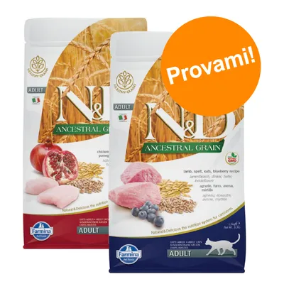 Due confezioni di crocchette Farmina N&D Ancestral Grain per gatti adulti, una con pollo e melograno, una con agnello e mirtillo. Testo visibile: Provami!