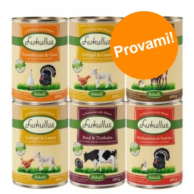 6 lattine Lukullus Adult 400 g, vari gusti visibili su etichette. Testo arancione: Provami!