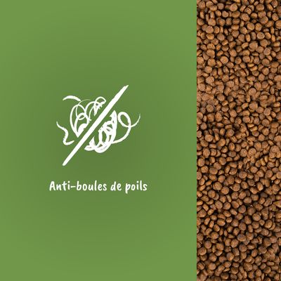 Texte visible : Anti-boules de poils, à côté d’un gros plan de croquettes marron.