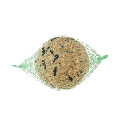 Boule de graines pour oiseaux dans un filet en plastique vert, mélange visible de graines et matières grasses compactées.