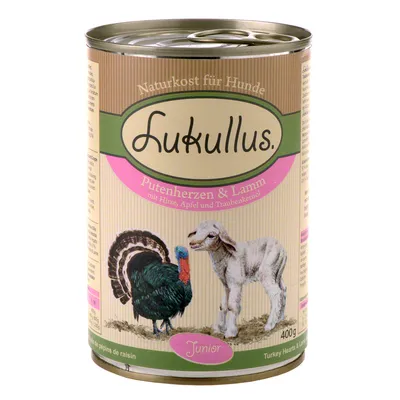 Lata de comida para perros Lukullus, texto visible: Naturkost für Hunde, Putenherzen & Lamm, mit Hirse, Apfel und Traubenkernöl, Junior, 400 g. Imagen de pavo y cordero en la etiqueta.