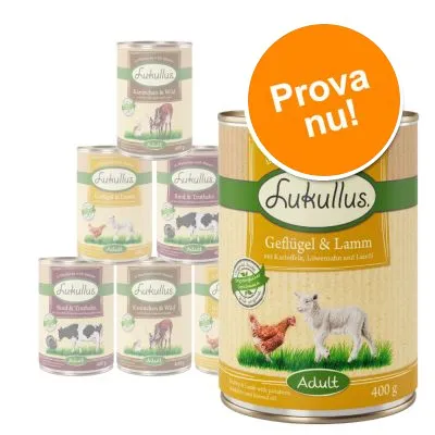 Flera burkar Lukullus våtfoder, synliga sorter: Geflügel & Lamm, Kaninchen & Wild, Rind & Truthahn. Stor orange cirkel med texten 'Prova nu!'.