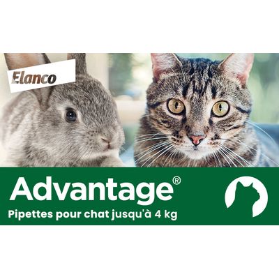 Elanco Advantage 40 pour chat et lapin, moins de 4 kg. Prévention et traitement des infestations par les puces chez les chats et lapins de compagnie de moins de 4 kg. 4 x 0,4 ml.