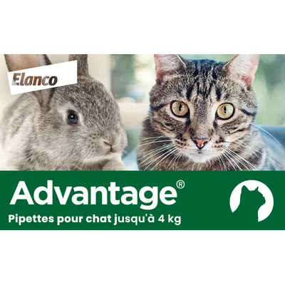 Pipettes Advantage 40 - 6 pipettes