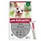 Advantix® très petit chien jusqu'à 4 kg 6 mois de protection (6 pipettes )