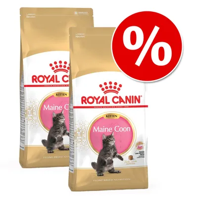 Two bags of Royal Canin Kitten Maine Coon dry cat food with a large red percentage discount symbol