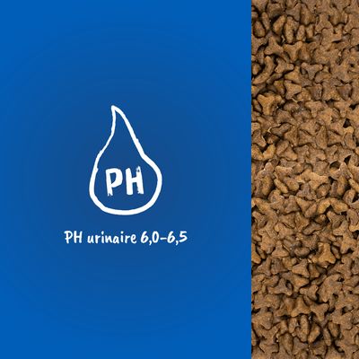Croquettes en gros plan, texte visible : PH urinaire 6,0–6,5