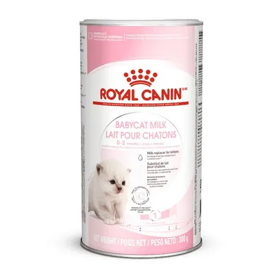 Boîte Royal Canin Babycat Milk Lait pour chatons 0–2 mois, substitut de lait, poids net 300 g, image d’un chaton blanc sur l’emballage. Texte en anglais et français visible.