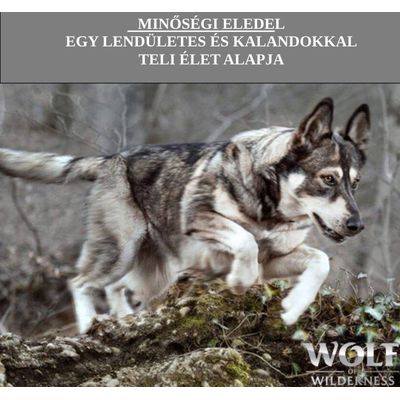 MINŐSÉGI ELEDEL EGY LENDÜLETES ÉS KALANDOKKAL TELI ÉLET ALAPJA. WOLF OF WILDERNESS márkanév látható, ugró farkaskutya képe.