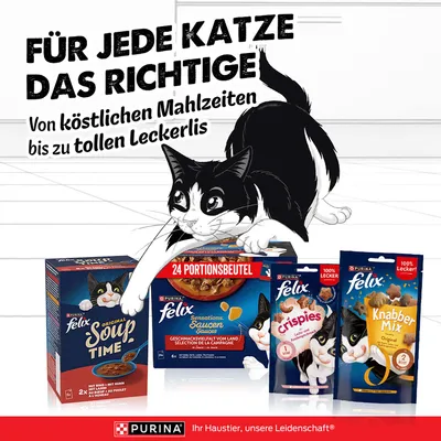 Felix Katzenfutter und Snacks: Original Soup Time, Sensations Saucen mit 24 Portionsbeuteln, Crispies, Knabber Mix. Für jede Katze das Richtige, von Mahlzeiten bis Leckerlis.