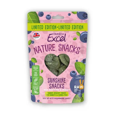 Burgess Excel Blueberry & Spinach Sunshine Snacks - 60g