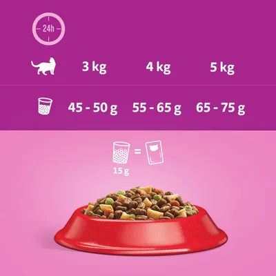 Doporučené krmení pro kočky: 3kg – 45–50g, 4kg – 55–65g, 5kg – 65–75g denně. 15g suchého krmiva odpovídá jednomu kapsičce. Zobrazená červená miska se suchým krmivem.