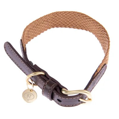 Collier Nomad Tales Bloom, caramel pour chien  - taille M : tour de cou 40 - 46 cm, l 32 mm