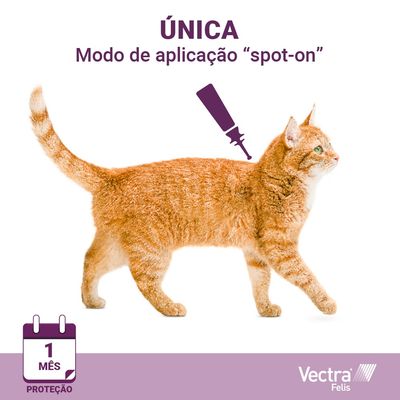 Vectra Felis solução spot-on para gatos de 0,6-10 kg. Combate pulgas e sua reprodução. Tamanho da embalagem com aplicador. Para uso externo.