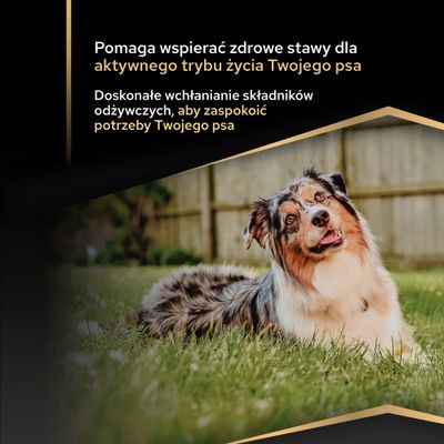 Pomaga wspierać zdrowe stawy dla aktywnego życia psa. Optymalne przyswajanie składników odżywczych, aby zaspokoić potrzeby Twojego psa.