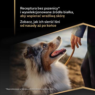 Receptura bez pszenicy i wyselekcjonowanych źródeł białka dla wspomagania wrażliwej skóry. Sierść lśni od nasady aż po końce.