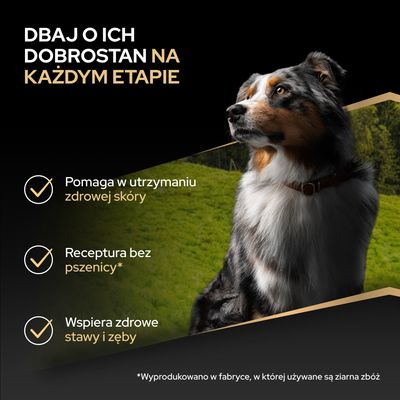 Zadbaj o jej dobrostan na każdym etapie życia. Pomaga utrzymać zdrową skórę. Receptura bez pszenicy. Wspiera zdrowe stawy i zęby. Wyprodukowano w fabryce przetwarzającej zboża.