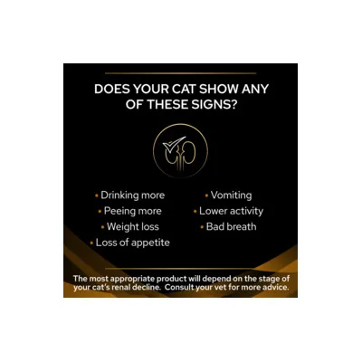 Κείμενο στα αγγλικά: Does your cat show any of these signs? Drinking more, Peeing more, Weight loss, Loss of appetite, Vomiting, Lower activity, Bad breath. Συμβουλευτείτε κτηνίατρο.