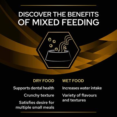 Tekst på engelsk: Discover the benefits of mixed feeding. Dry food: supports dental health, crunchy texture, satisfies desire for multiple small meals. Wet food: increases water intake, variety of flavours and textures.