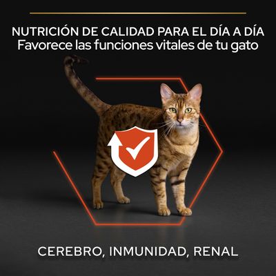 NUTRICIÓN DE CALIDAD PARA EL DÍA A DÍA. Favorece las funciones vitales de tu gato: cerebro, inmunidad, renal. Imagen de un gato con icono de escudo y marca de verificación.