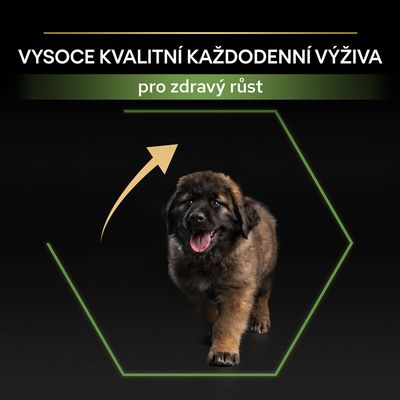 Text v češtine: VYSOCE KVALITNÍ KAŽDODENNÍ VÝŽIVA, pro zdravý růst. Šteniatko psa na čiernom pozadí s grafickou šípkou nahor.