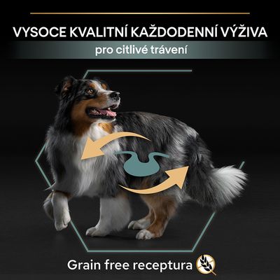 Text v češtine: VYSOCE KVALITNÍ KAŽDODENNÍ VÝŽIVA pro citlivé trávení. Grain free receptura. Obrázok psa s grafickými šípkami a symbolom žalúdka.