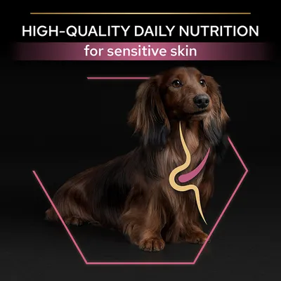 Text: HIGH-QUALITY DAILY NUTRITION for sensitive skin. Bild på långhårig tax med grafisk illustration av matsmältningssystemet över bröstet.