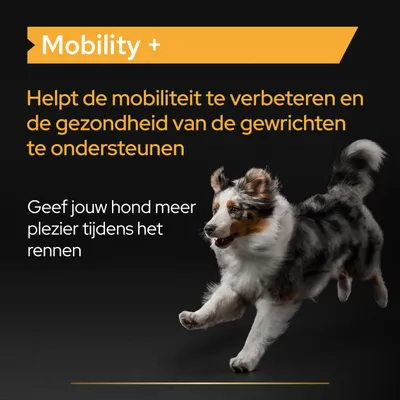 Mobility+ Helpt de mobiliteit te verbeteren en de gezondheid van de gewrichten te ondersteunen. Geef jouw hond meer plezier tijdens het rennen.