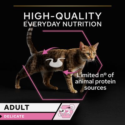 HIGH-QUALITY EVERYDAY NUTRITION, Limited n° of animal protein sources, ADULT DELICATE feliratok, macska képe rózsaszín hexagonban, gyomor szimbólummal és nyilakkal