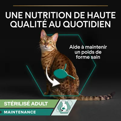 Texte : Une nutrition de haute qualité au quotidien. Aide à maintenir un poids de forme sain. Stérilisé Adult Maintenance avec icône chat.