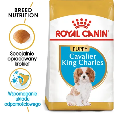 ROYAL CANIN Puppy Cavalier King Charles, specjalnie opracowany krokiet, wspomaganie układu odpornościowego, opakowanie z wizerunkiem szczeniaka tej rasy