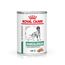 Royal Canin Veterinary Canine Diabetic Special Low Carbohydrate Mousse 12 x 410 g