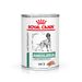 Royal Canin Veterinary Canine Diabetic Special Low Carbohydrate Mousse 12 x 410 g