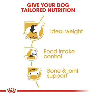 Royal Canin Beagle Adult - 12kg