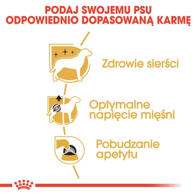 Podaj swojemu psu odpowiednio dopasowaną karmę. Zdrowie sierści, optymalne napięcie mięśni, pobudzanie apetytu – tekst i ikony na grafice.