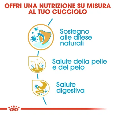 Offri una nutrizione su misura al tuo cucciolo: sostegno alle difese naturali, salute della pelle e del pelo, salute digestiva.