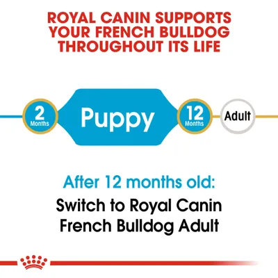 Текст на английском: Royal Canin supports your French Bulldog throughout its life. Puppy 2–12 months. After 12 months old: Switch to Royal Canin French Bulldog Adult.
