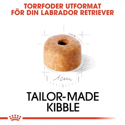 Torrfoder utformat för din Labrador Retriever. Bild på ett torrfoderkorn, cirka 1 cm i diameter. Text: Tailor-made kibble.