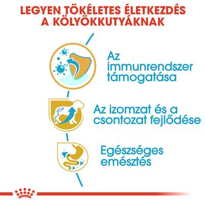 Legyen tökéletes életkezdés a kölyökkutyáknak. Az immunrendszer támogatása, az izomzat és a csontozat fejlődése, egészséges emésztés.