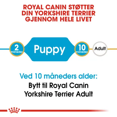Royal Canin Yorkshire Terrier Puppy