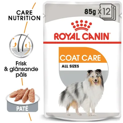 Royal Canin Coat Care All Sizes, 85 g x12. Paté. Text: Frisk & glansande päls, Care Nutrition. Bild på hund och patébitar.