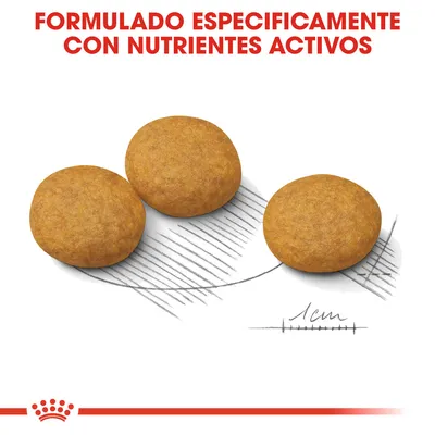 Tres croquetas redondas junto a escala de 1 cm y texto: FORMULADO ESPECÍFICAMENTE CON NUTRIENTES ACTIVOS.