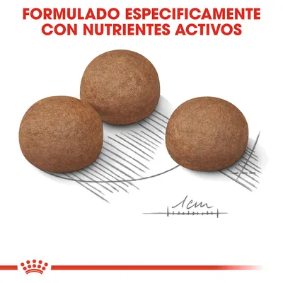 Tres croquetas redondas de pienso junto al texto 'Formulado específicamente con nutrientes activos' y una escala que indica 1 cm de diámetro.